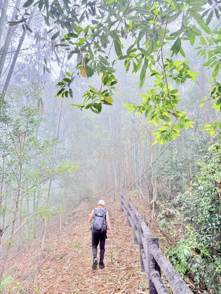 埔里撿基石-西關刀山西峰(貓頭山).牛眠山.三角嶺山(東南峰)  2024.12.142669902