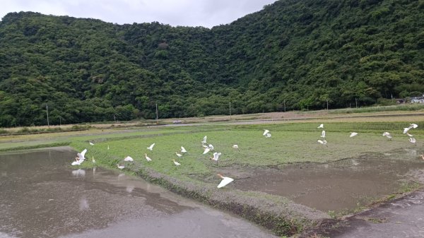 南澳神秘海灘步道(蘇花古道─海岸段2083927