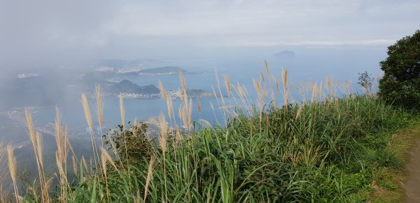 2019-0111基隆山1218252