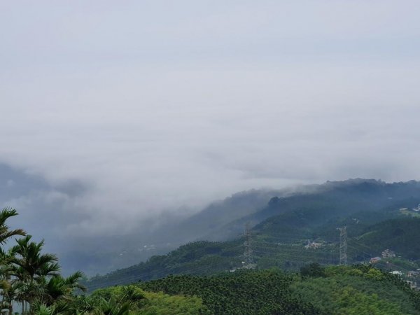 【雲嘉】連峰茶道之美1717457