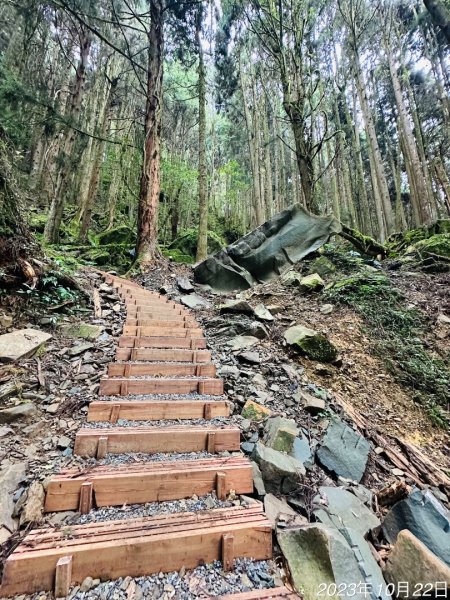 特富野古道2846011