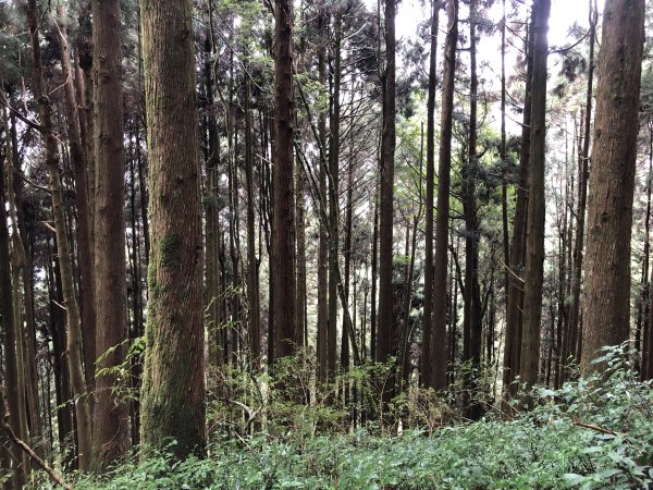 良尉家登山日記1379289