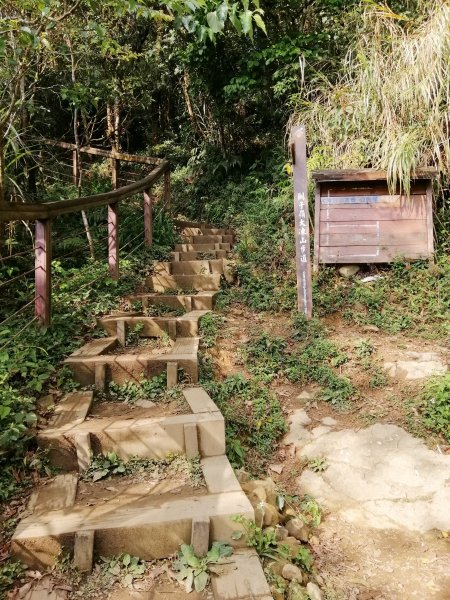 台南白河~台南第一高峰。 關仔嶺大凍山917826