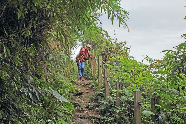 馬那邦山(珠湖線來回)375013