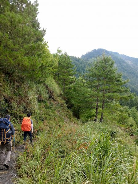 奇萊南華百岳之旅442345