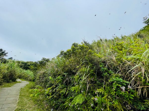 淡蘭中路（暖暖車站-十分車站）1685530