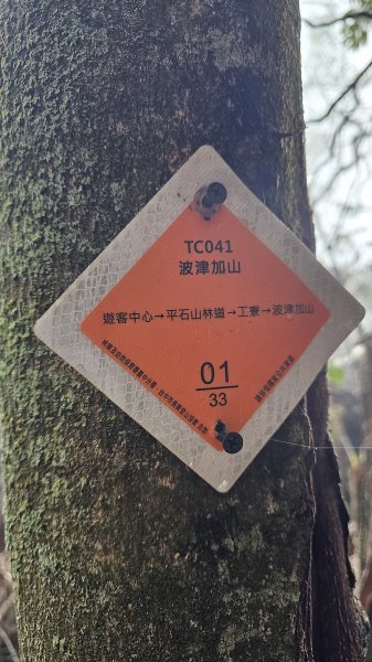 【這樣走波津加也行！】大雪山下波津加進谷關。3025902