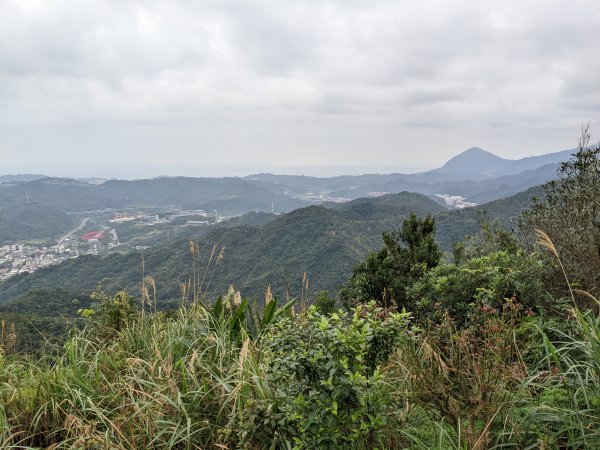 龍門山五分山1629909