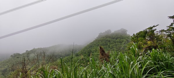 2025/04/25_苗栗鐘樓古道2771175