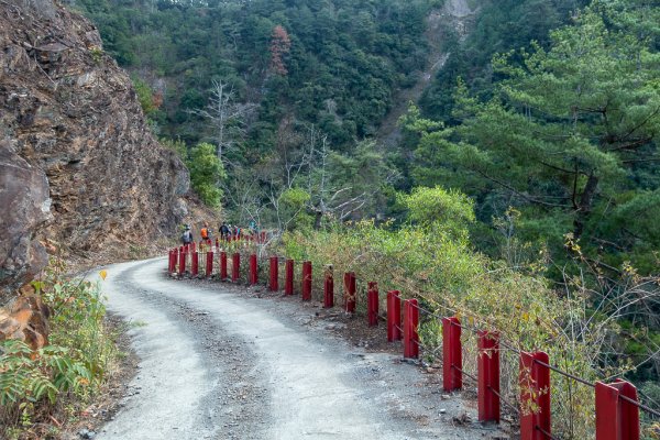 2025-02-07 北港溪峽谷步道2708293
