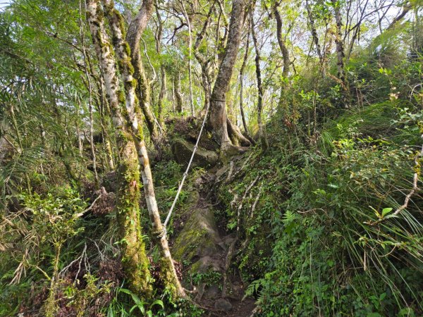 都蘭山（小百岳）2974190