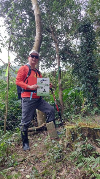 龜山五連星+大棟山O型2785145