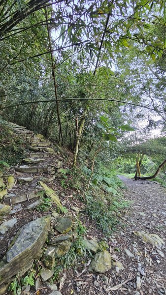 【尾寮山靜修日：一人一山，一念清明，山無語，我自省】🌿2937941