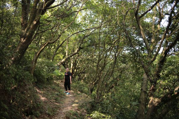 竹子山古道：北北峰161441