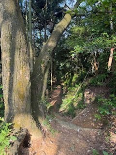 20250517 建安+鳥嘴+雙港子群峰 O型2788290
