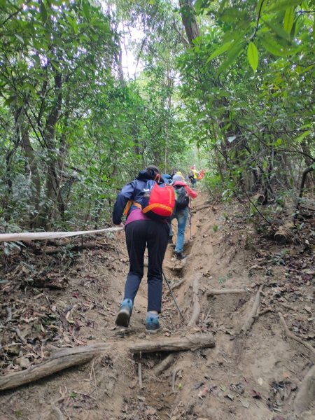 ［金劍縱走］（金面山~劍潭山）（2023/11/14）2352846