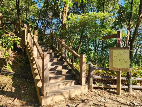 小百岳No.20⛰獅仔頭山2917921