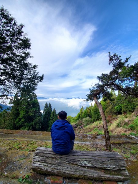 郡大碰碰車952494