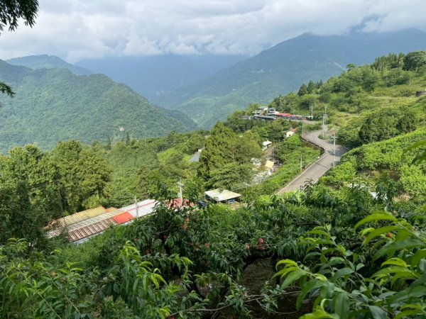 鵝公髻山採桃趣-202505302865297