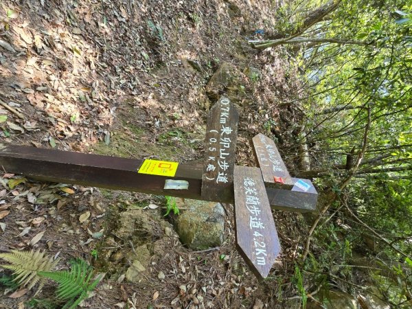 谷關松鶴橋對面的德芙蘭生態步道順登東卯山西南峰2748314