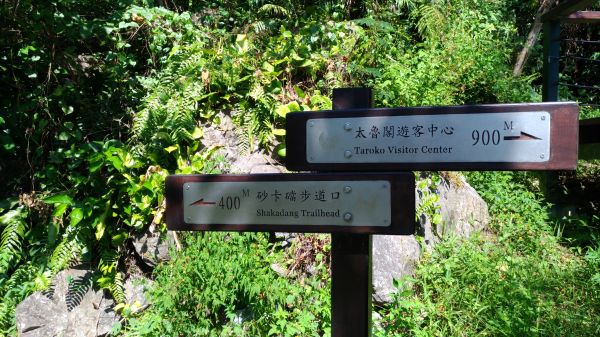 小錐麓古道&砂卡礑179653