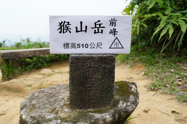 臺北 文山 指南山、猴山岳、魚衡山、大前坑山、猴山坑山、祥光寺後山、金頭山2774977