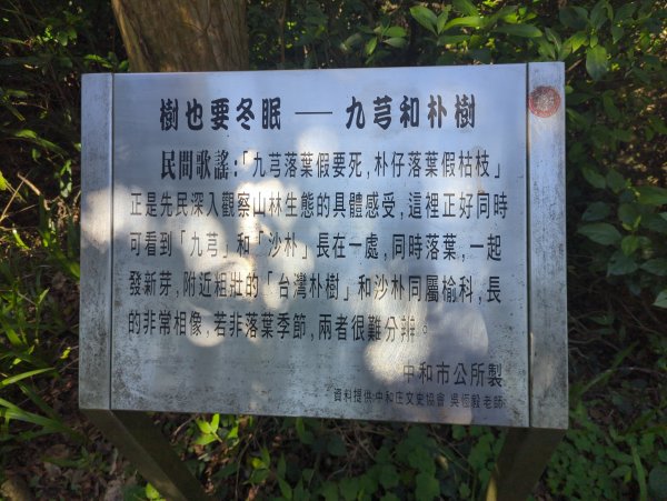 2026.01.25－微笑山線：【天上山系】烘爐地土地公段2994560