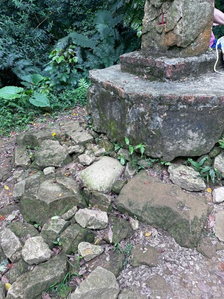 大棟山系第一段、第二段一起走2857265