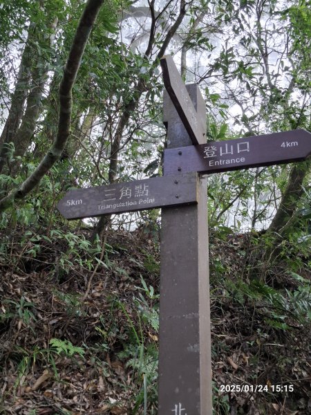 2025.01.24~26 北大武山 三天兩夜〈雲海、夕陽、檜木、鐵杉、藍天...〉2700336