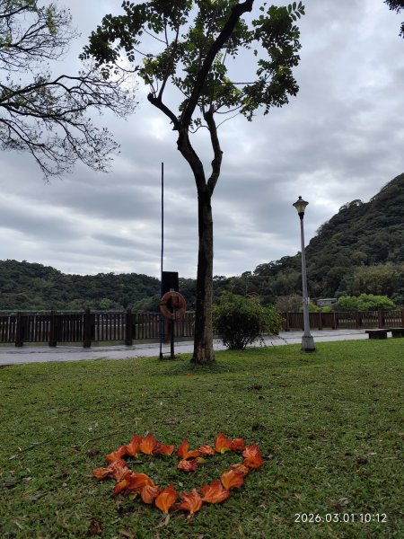 【臺北大縱走 4】大湖公園→大溝溪生態治水園區→圓覺瀑布→峯碧山圓覺寺→碧山巖→白石湖吊橋→碧湖公園3008911