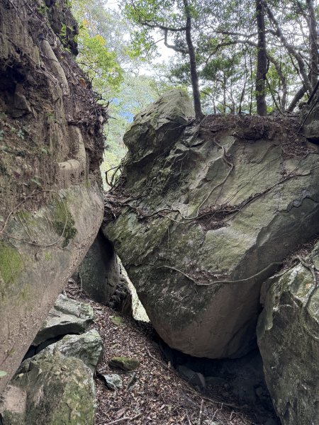 大坪祕境的奇岩2672553