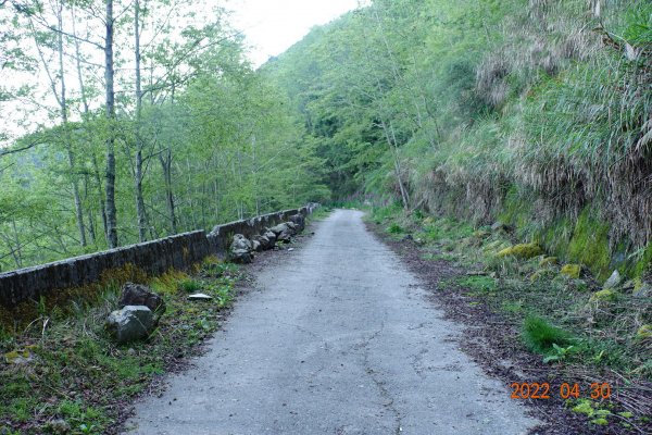 臺中 和平 烏石坑山1697221