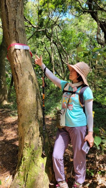 按圖索驥解鎖向天池山-202405192508215