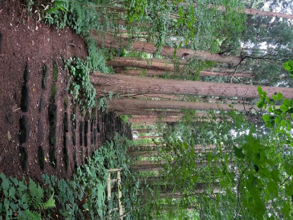 2024北海道函館、登函館山附近八幡坂與神社2565983