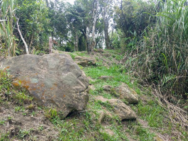 汐止大尖山(小百岳#12)盤石古道起登993926