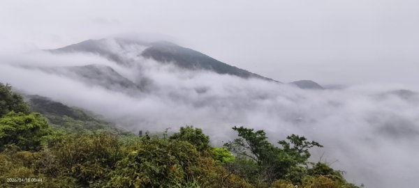 #陽明山 #琉璃光 #紅斑蛇 #新店四十份 #雲瀑 #翡翠水庫壩頂 #日出 #雲海 4/16&183038296