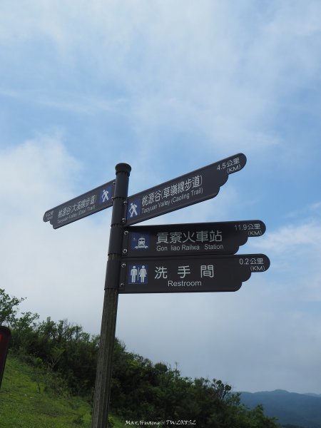 《新北》草原牛群｜貢寮桃源谷步道(內寮線)201805172887816