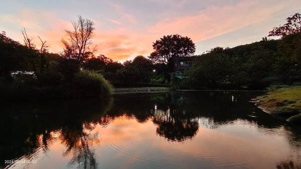 雲山水花鳥蝶 - 天龍國阿伯的日常7/162551873