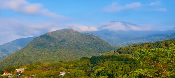 陽明山趴趴走 12/102958567