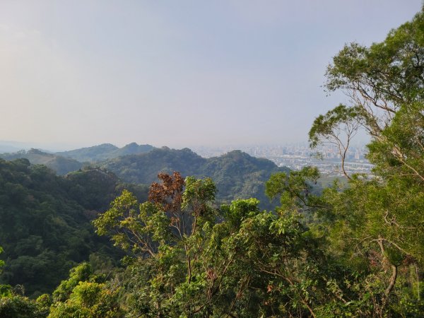 潭子新田山步道2698625