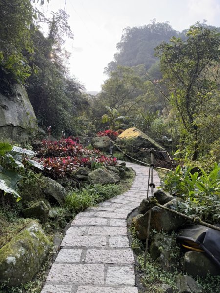 2025/02/17 姜子寮絕壁瀑布 姜子寮山2908677