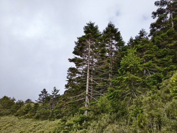 北一段(13/14)審馬陣山 2025_0906~132887538