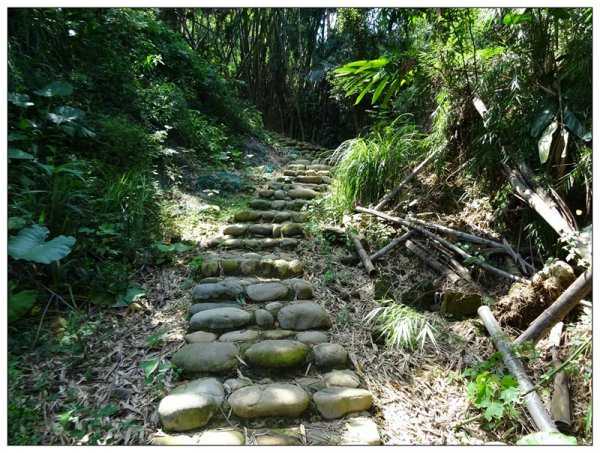 豐原/公老坪蜈蚣崎登山步道1459355