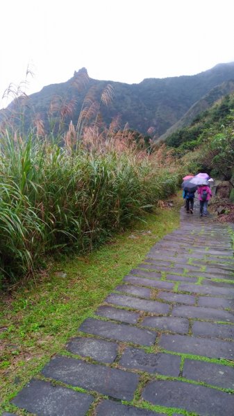 黃金神社757645