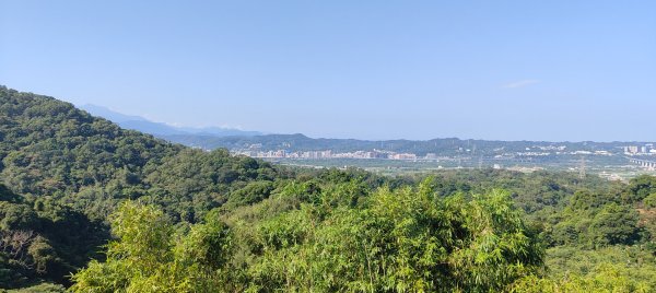 飛鳳山3120008
