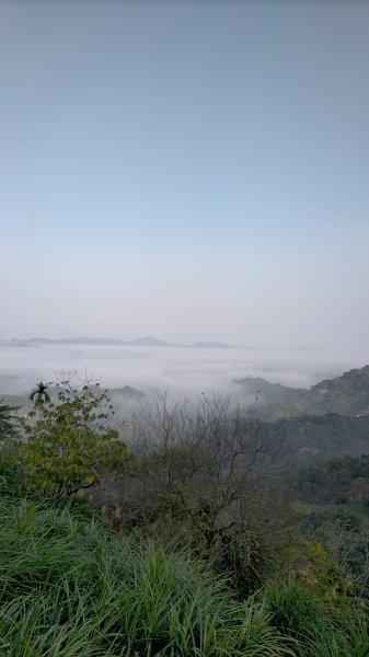 竹子尖山/獵鷹尖一線天/伍步道 環狀封面