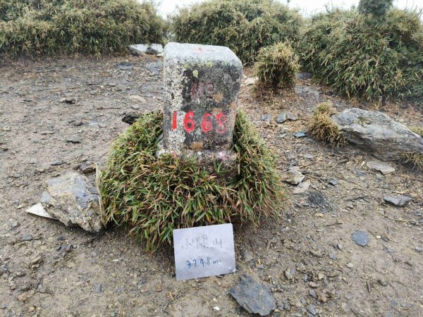 南一段20250101~052684976