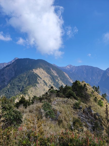 20260315-玉山前峰3018710