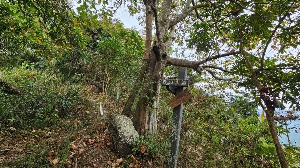 暗影山三進三出2366587