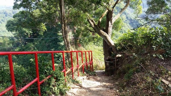 彰化縣田中鎮-田中森林登山步道90056